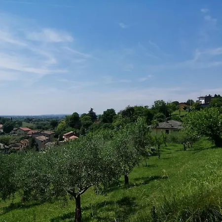 Cà Degli Olivi - Villino Tra Gli Olivi Nel Borgo *